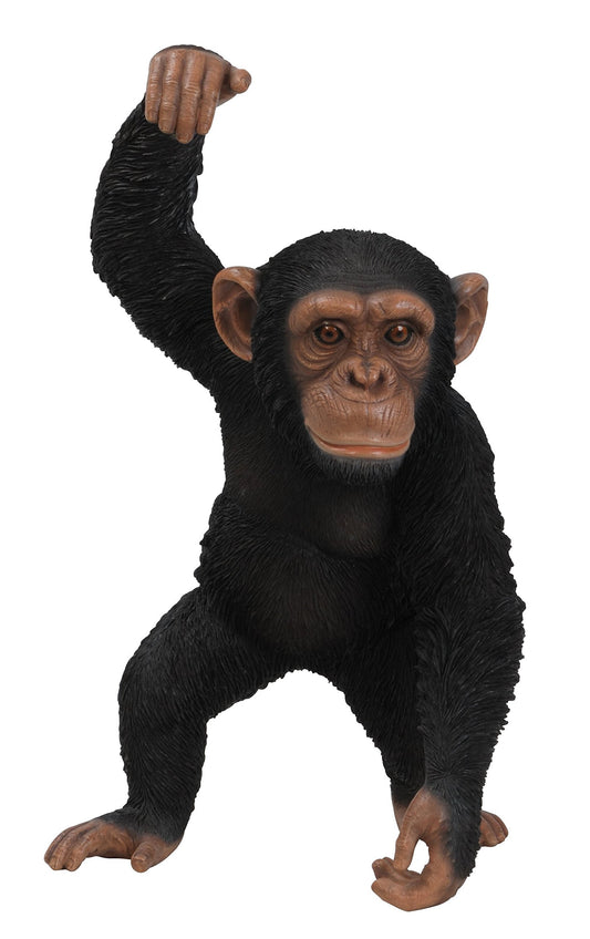 Vivid Arts XRL-CHM5-B Chimpanzee, hanging, resin garden decoration