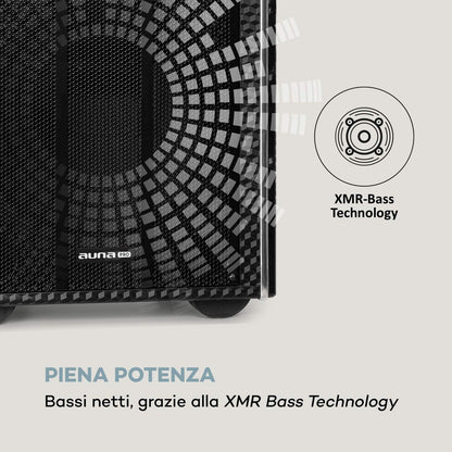 auna Pro DisGo Box DVD - Mobile PA system with built-in DVD player, 300 W max., 2 x 10 (25.5 cm) subwoofers, Bluetooth, USB, SD slot, wireless UHF microphone, battery, remote control, black.