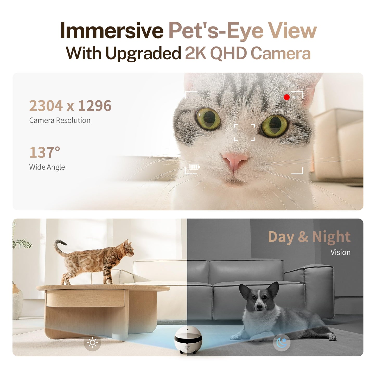 Enabot EBO ROLA Mini 2K Pet Camera Robot: Portable indoor camera with battery and phone app, one-touch call, 2-way audio, IR night vision, motion detection, video recording.