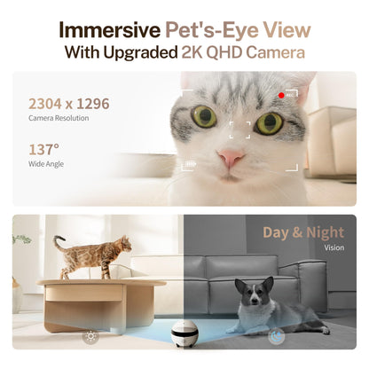 Enabot EBO ROLA Mini 2K Pet Camera Robot: Portable indoor camera with battery and phone app, one-touch call, 2-way audio, IR night vision, motion detection, video recording.