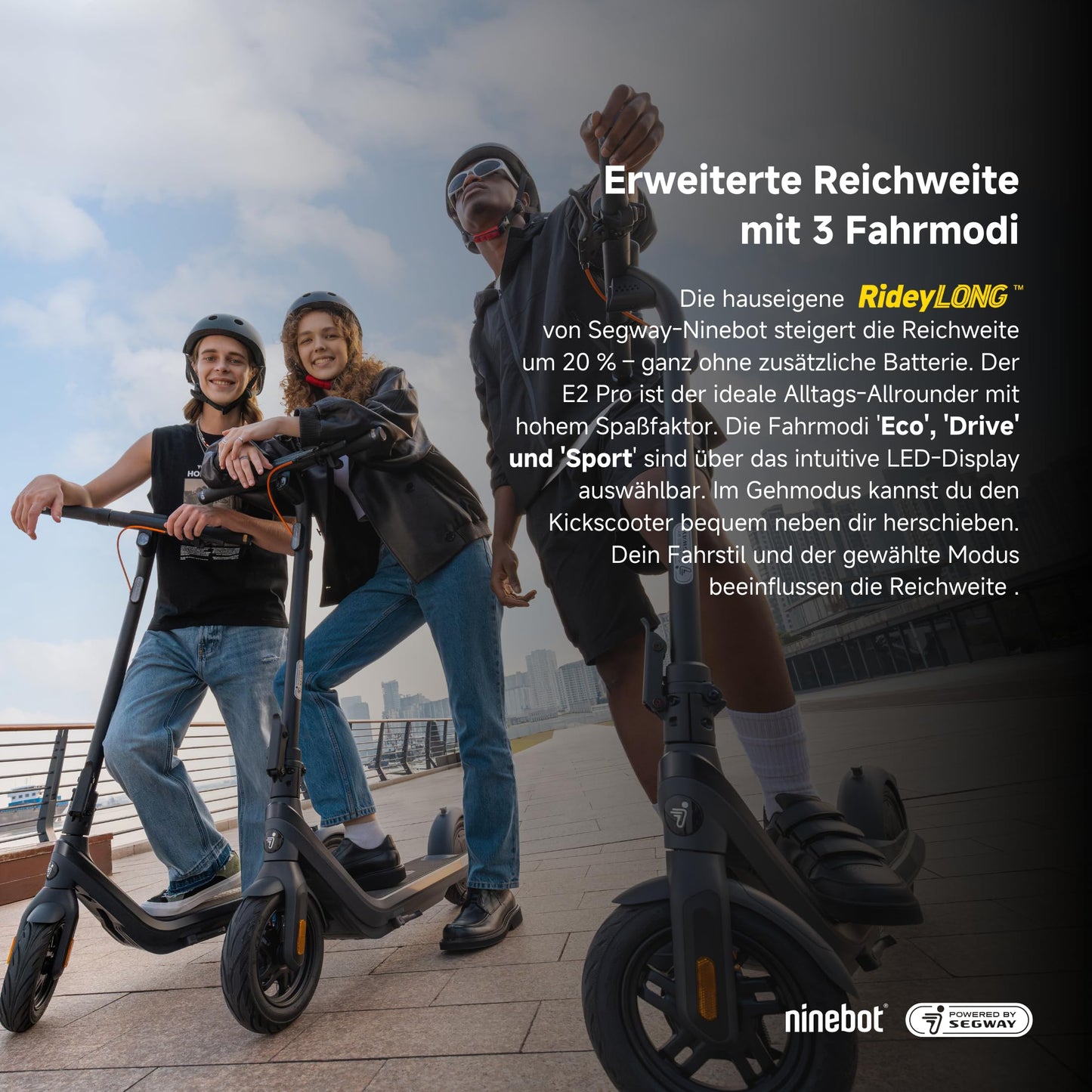 Segway-Ninebot E2 Pro D, street-legal e-scooter for adults, max. 20 km/h speed, 35 km range, anti-slip traction control system.