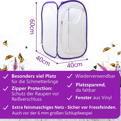 Butterfly breeding kit for kids | Approx. 14 caterpillars + large habitat (40x40x60 cm) | FREE E-Book + educational materials | Breed caterpillars at home from age 3 | Raise native Painted Lady butterflies