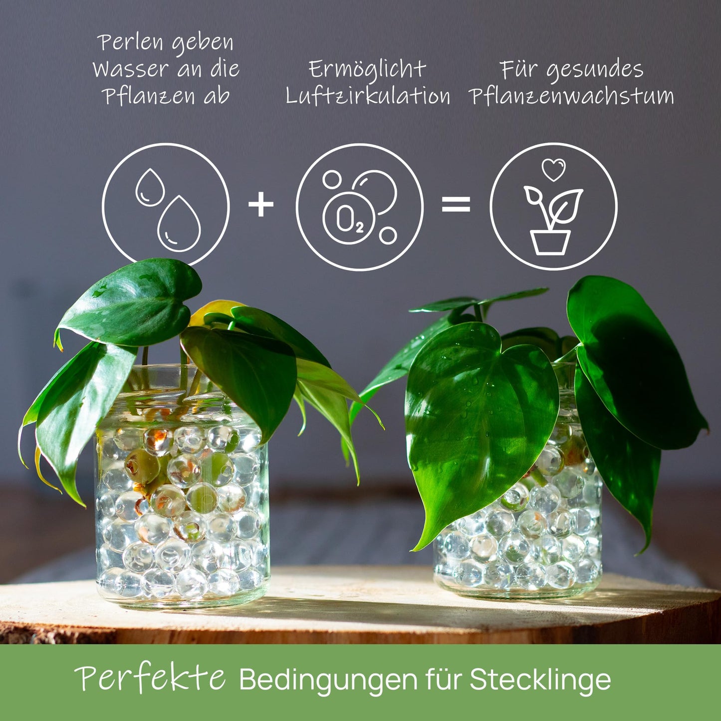 Comfoorder - Transparent water beads - Decorative water beads for plants in vase, approximately 100,000 hydro beads, clear gel balls