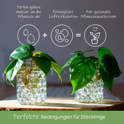 Comfoorder - Transparent water beads - Decorative water beads for plants in vase, approximately 100,000 hydro beads, clear gel balls