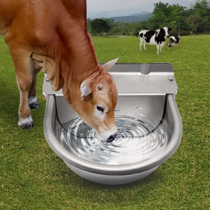 Automatic drinker basin made of stainless steel with 1/2 inch adjustable brass float valve and drainage holes for horses, cows, pigs, goats, sheep, and dog drinkers.
