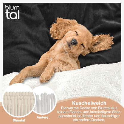 Blumtal Premium Sherpa Cuddly Blanket fluffy 220x240 cm - Oeko-Tex certified. Sofa Blanket with thick Sherpa lining - super fluffy and extra thick, warming - Fluffy Blanket - Anthracite
