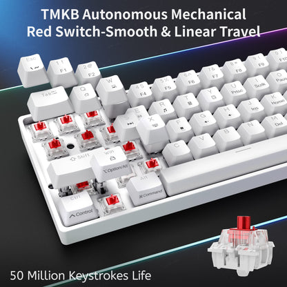 Dierya DK61se Gaming Keyboard, 60% Mechanical Keyboard with Red Linear Switch, Ultra-Compact Mini 61 Keys Anti-Ghosting, Typ-C Data Cable, US Layout for PC Windows Gamer Typist, White