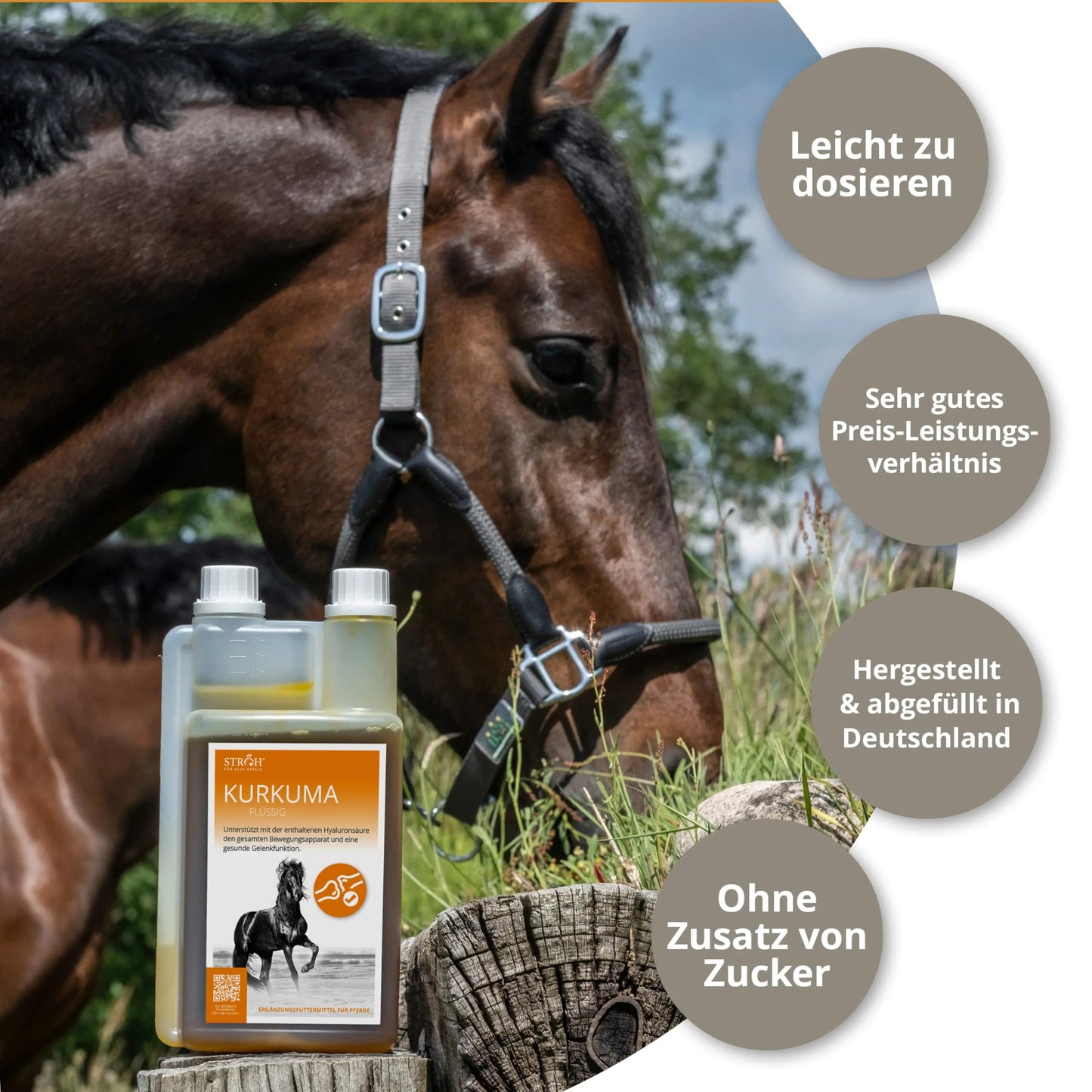 STRÖH Turmeric for Horses (1L dosing bottle) • Supports healthy joint function in horses • Strengthens cartilage, ligaments, joints & tendons