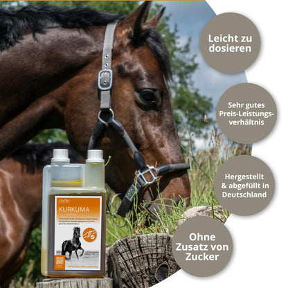 STRÖH Turmeric for Horses (1L dosing bottle) • Supports healthy joint function in horses • Strengthens cartilage, ligaments, joints & tendons