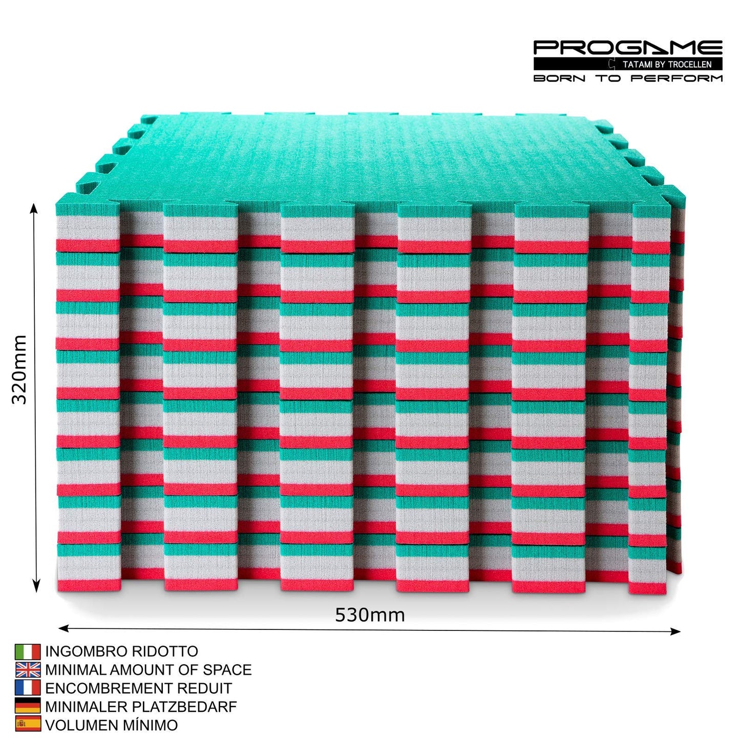 PROGAME Tatami Mat 4 cm Kit 8 pieces PERFORMANCE-HOME Green/Red 50x50 cm. Judomat.