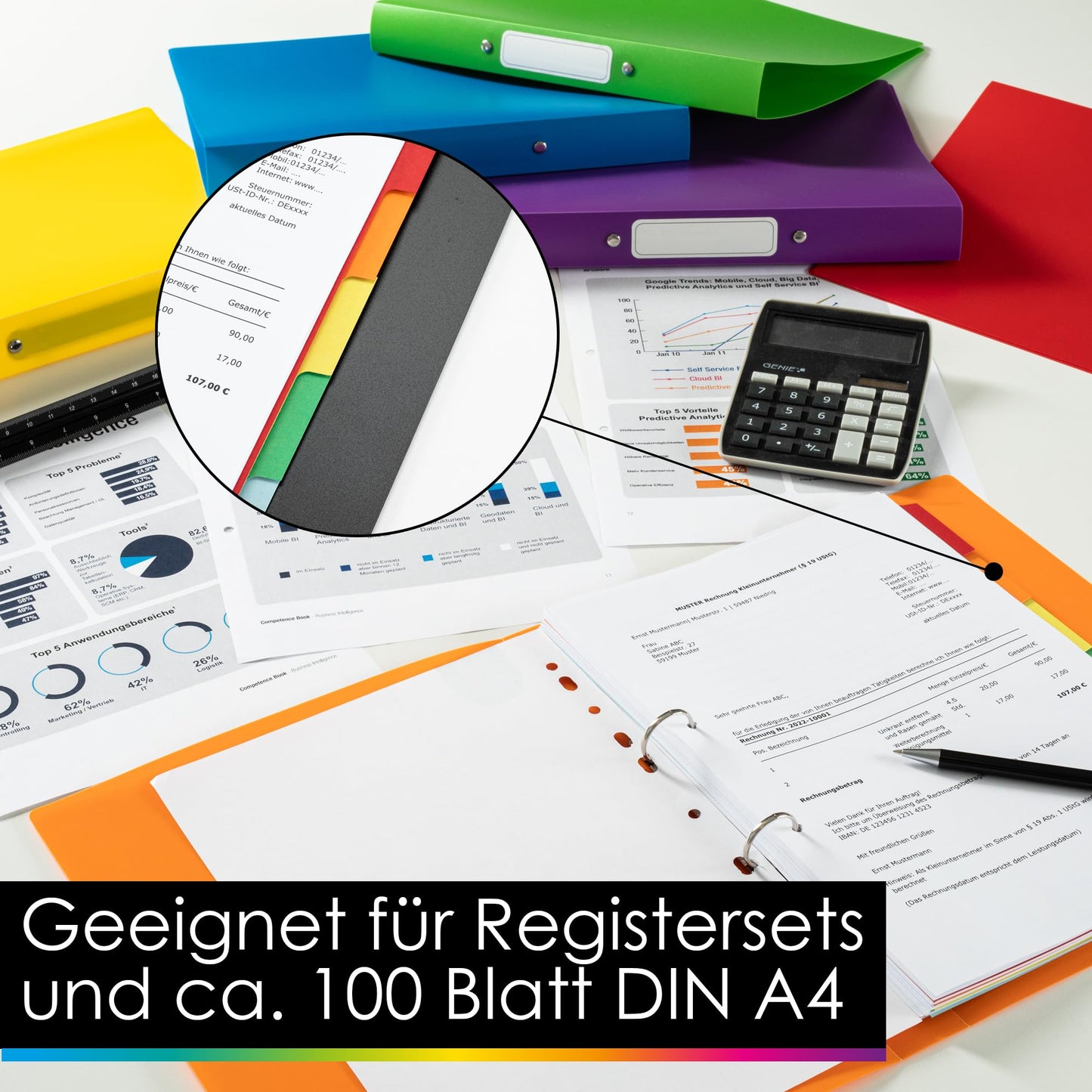 OfficeTree 12x Ring Binder Set - 12 Colors - 2-Ring Mechanism - A4 Ring Binder Back width 3.5cm - Ring Folders made of durable plastic - Slim Ring Binder with Sticker - Folder