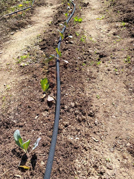 50m drip hose starter kit with the Z2.00 beginner accessory set for sustainable garden watering/raised bed irrigation/flower watering.