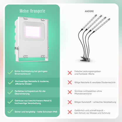 My Orangery - LED plant lamp for overwintering Mediterranean plants - Developed with citrus plant experts Full spectrum plant light (20)