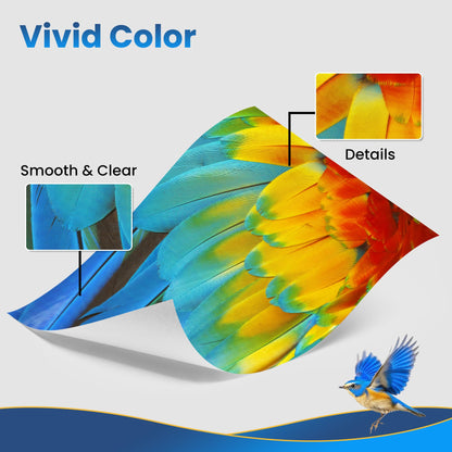 Jhaan TN-243CMYK compatible toner for Brother MFC-L3750CDW, DCP-L3550CDW, MFC-L3770CDW, HL-L3210CW, HL-L3230CDW, MFC-L3710CW. TN 243CMKY TN247 TN-247 TN-243 (4-pack) for Brother printers.