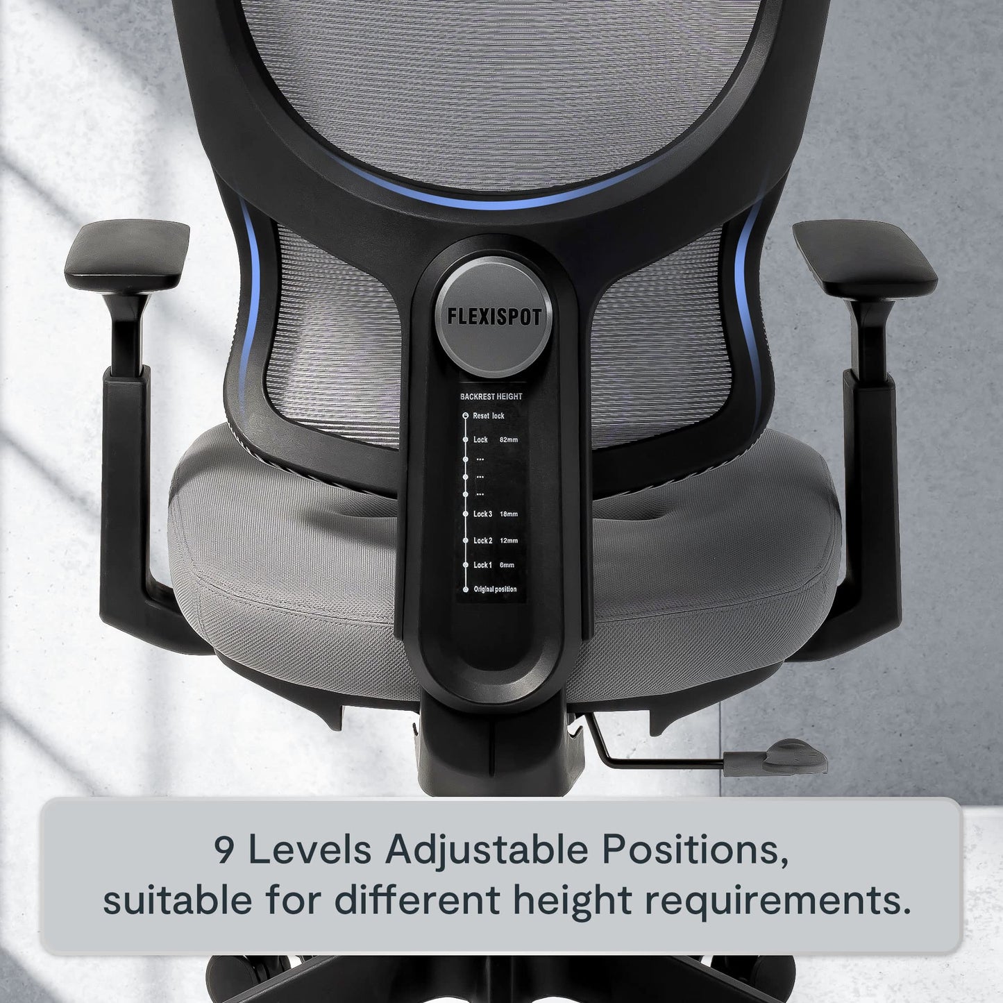 FLEXISPOT ergonomic office chair desk chair computer chair adjustable seat headrest 3D armrest lumbar support caster wheels task chair BS8G GRAY