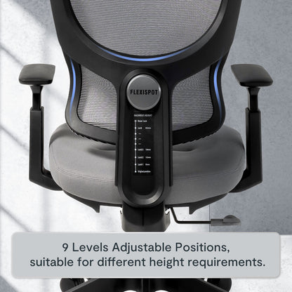 FLEXISPOT ergonomic office chair desk chair computer chair adjustable seat headrest 3D armrest lumbar support caster wheels task chair BS8G GRAY
