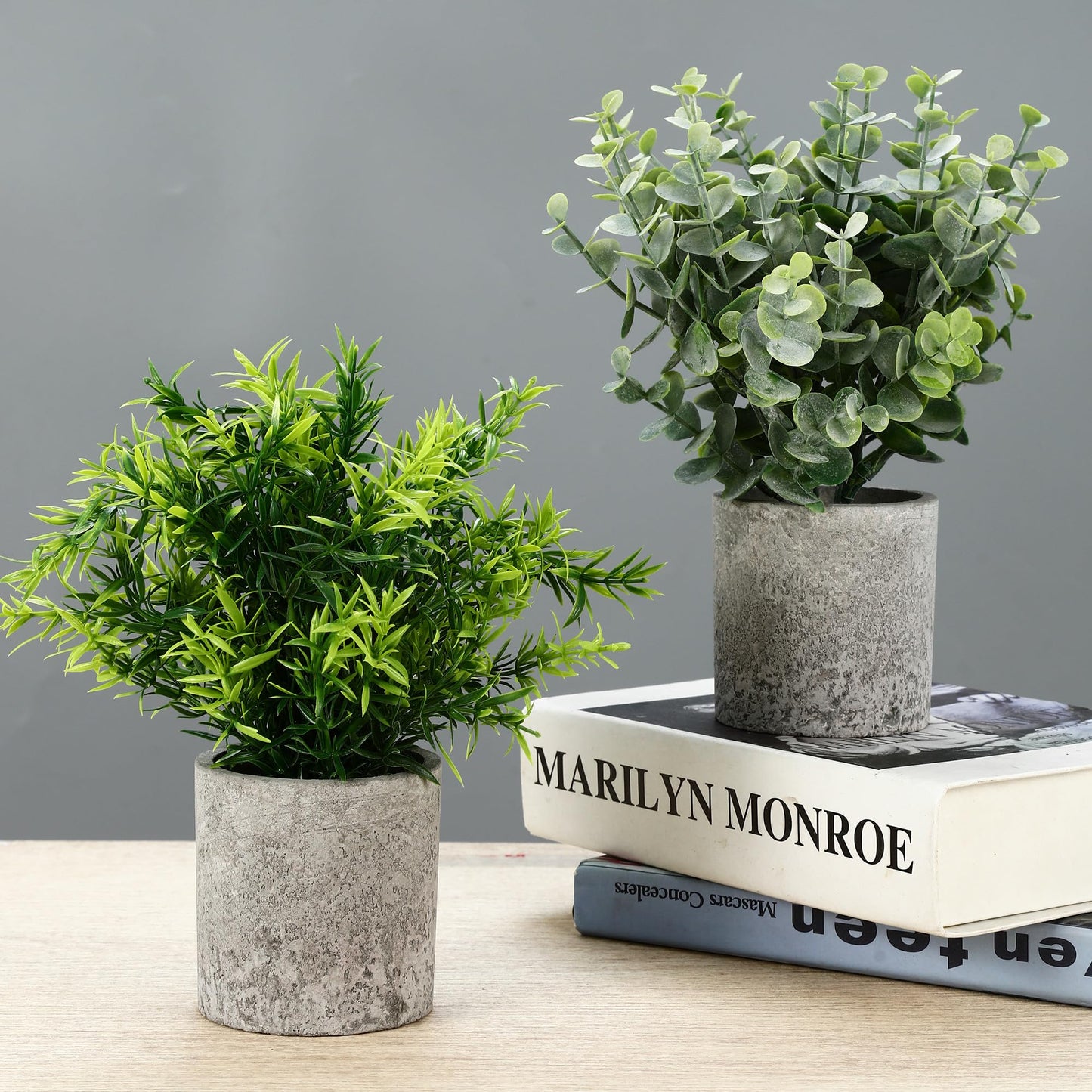 5 artificial plants, Mini Artificial Snake Tongue Plants, Agave Succulent, Eagle Claw Aloe, Artificial Plants for Bedroom Office Decoration