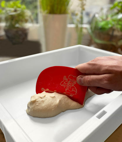 RoyalFay® Pizza Dough Ball Box - Made in Germany - Proofing Box 30x40x8 cm with Lid - food-safe & BPA-free dough box for pizza dough balls - stackable & sturdy - (white)