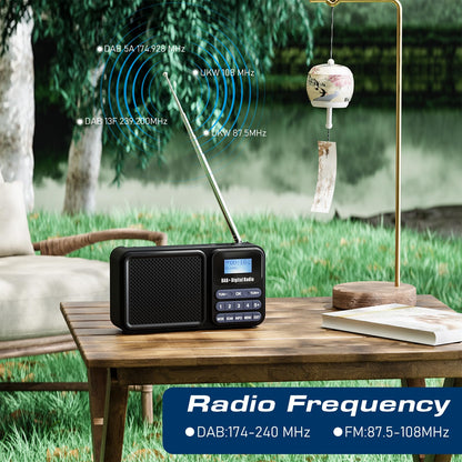 Gallypek portable DAB radio, DAB plus radio FM radio with Bluetooth 5.0 & 80 presets kitchen radio with cable or 2000mAh battery, supports solar & USB charging USB flash drive/TF/AUX connection.