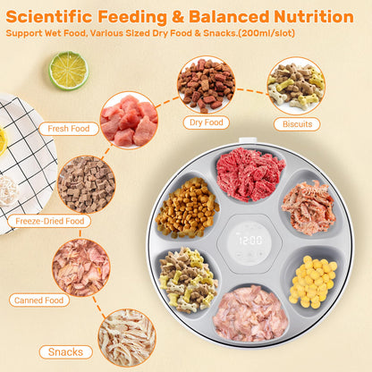 Automatic cat feeder for wet food, 6 meals cat feeder with 2 ice packs, programmable timer, rechargeable cordless automatic pet feeder.