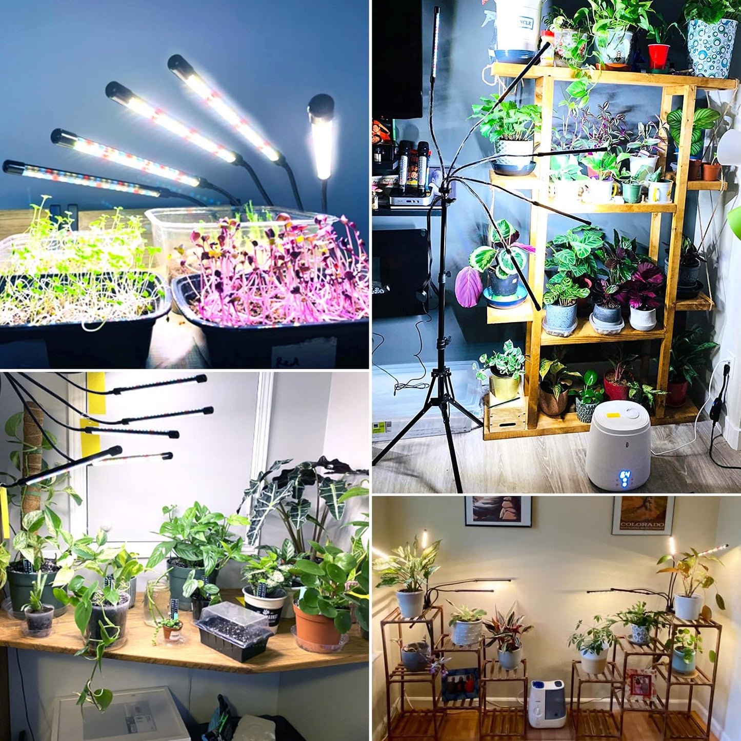Wolezek LED Full Spectrum Plant Lamp, 5 Head 100 LEDs Plant Light with Stand, Growth Lamp for Plants with 6/12/16H Timer, 3 Color Modes and 5 Dimmable Levels, Grow Light, Indoor Plants