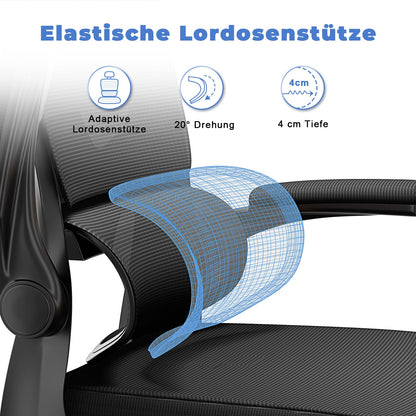 Naspaluro office chair, Ergonomic desk chair with adjustable headrest, armrests, dynamic lumbar support, swivel chair with breathable mesh cover for home office, black.