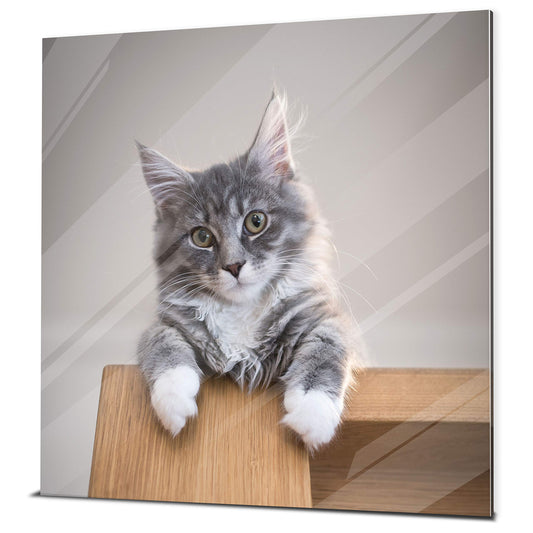 wandmotiv24 Acrylic Wall Art - Photo on Acrylic Glass with Online Preview - Personalized Glass Picture - Image with Custom Motif - Photo Gift - 30x30 cm