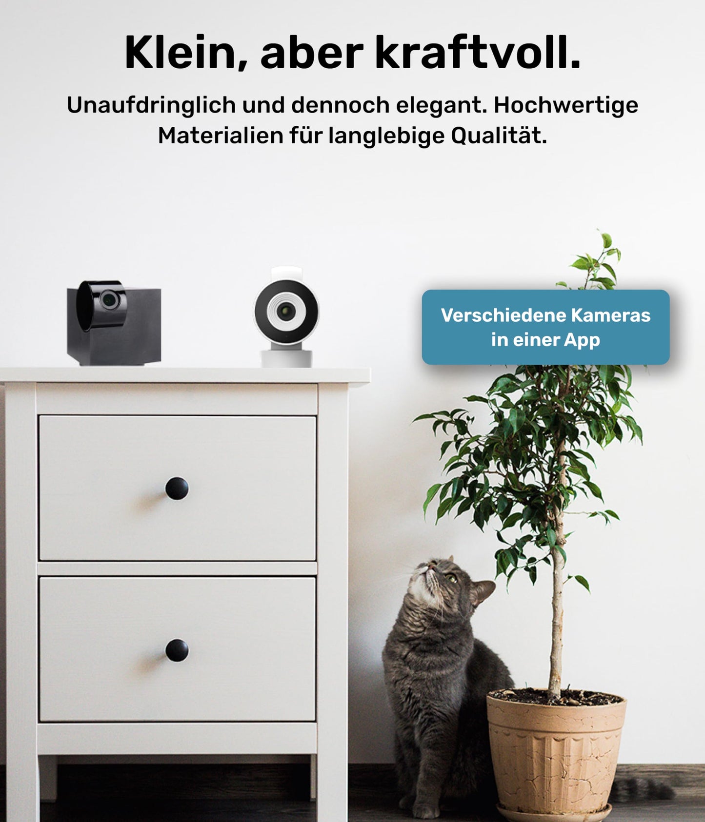 PetTec® Cam 360° pet camera dog camera with App [NO SUBSCRIPTION TRAP] - Cats & Dogs Camera at Home with motion detection & night vision function - Full HD 360° panoramic view swivel & tilt - Pet Cam
