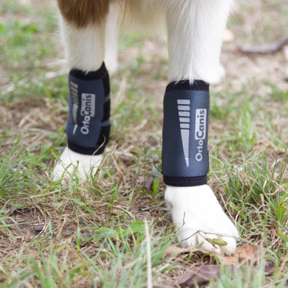 Ortocanis - Carpal Joint Brace for Dogs - Arthritis, ligament and tendon injuries or agility dogs - Made of Neoprene - Size M 14-16 cm