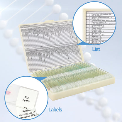 120 microscope slides with biological samples, insects, plants, and human cells for laboratory biology and science study.
