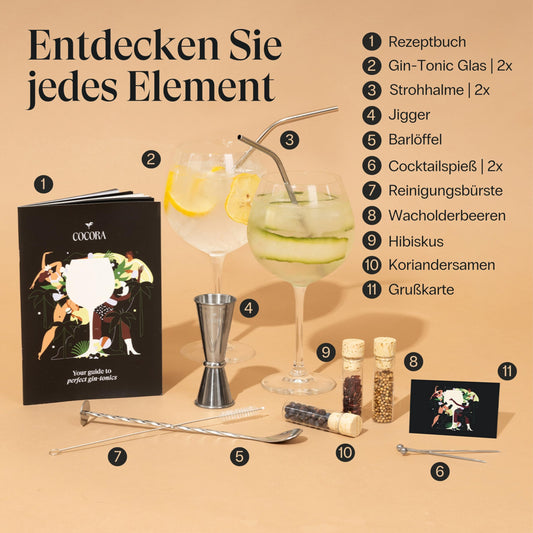 Cocora Gin-Tonic gift set | 11-piece cocktail set | Gin accessories | Gin tonic cocktail glasses | Spices (Silver)