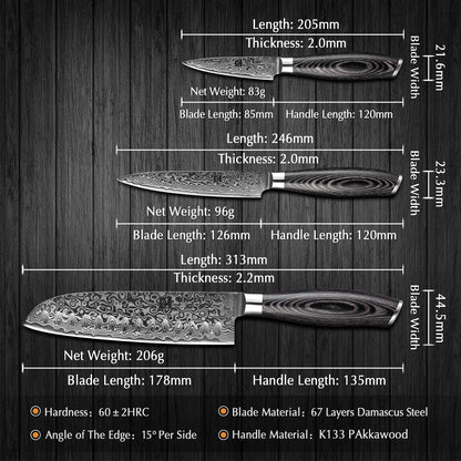 XINZUO 5 Piece Kitchen Knife Set 67 Layers Damascus Steel Chef Knife Set, Professional Forged Damascus Knife Set Sharp Blade Cooking Knife Set - Chef Santoku Slicing Utility Fruit Knife - PakkaWood Handle