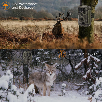 BlazeVideo WiFi Trail Camera with App, Wildlife Camera Night Vision Photo Trap 64MP 1296P Connect through APP Bluetooth Antenna with Night Vision Motion Sensor.