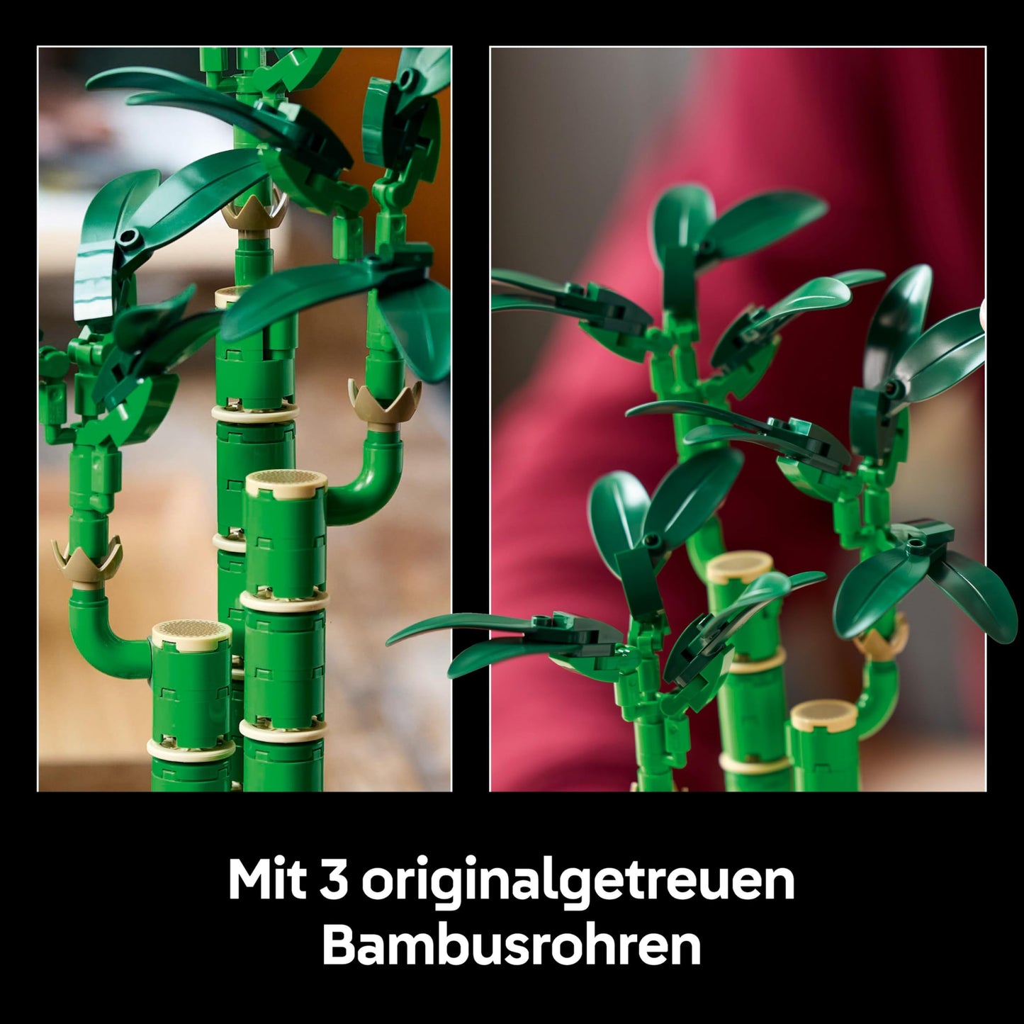 LEGO Botanicals Lucky Bamboo, artificial plant - building set for adults - gift for housewarming parties or graduations for women and men - home decor 10344