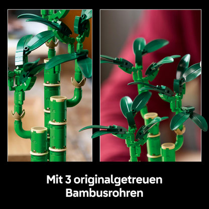 LEGO Botanicals Lucky Bamboo, artificial plant - building set for adults - gift for housewarming parties or graduations for women and men - home decor 10344