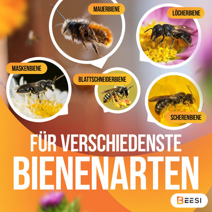 Nesting tubes for insect hotels 15 cm long diameter 6 AND 8 mm mixed incl. E-Book nesting tubes and paper tubes for wild bees (paper tubes, 600)