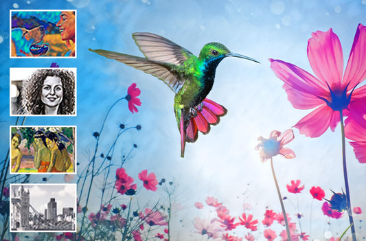 Adobe Photoshop Elements 2024 | Standard | 1 Device | PC/Mac | Perpetual | Box including Activation Code
