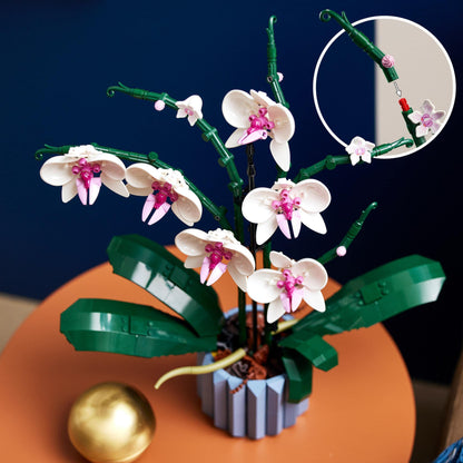 LEGO 10309 Icons Succulent Botanical Collection Set for adults to craft room decor with 9 buildable artificial mini plants, Home Decor & 10311 Icons Orchid Set for adults.