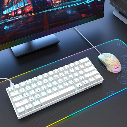 Dierya DK61se Gaming Keyboard, 60% Mechanical Keyboard with Red Linear Switch, Ultra-Compact Mini 61 Keys Anti-Ghosting, Typ-C Data Cable, US Layout for PC Windows Gamer Typist, White