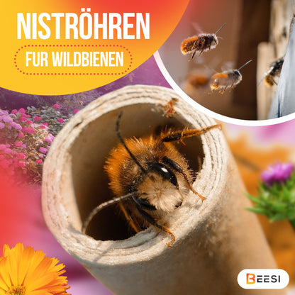 Nesting tubes for insect hotels 15 cm long diameter 6 AND 8 mm mixed incl. E-Book nesting tubes and paper tubes for wild bees (paper tubes, 600)