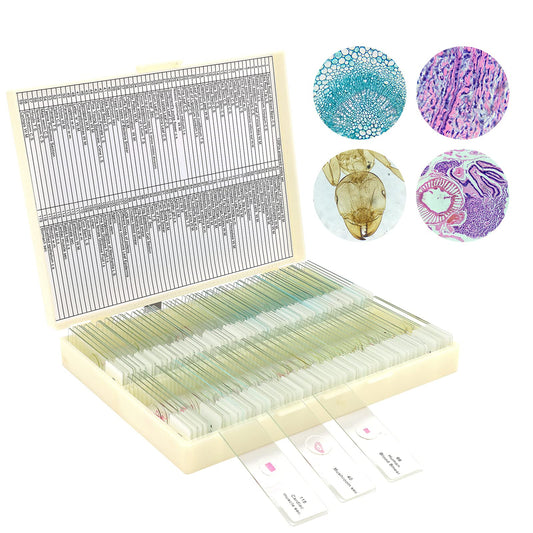 120 microscope slides with biological samples, insects, plants, and human cells for laboratory biology and science study.