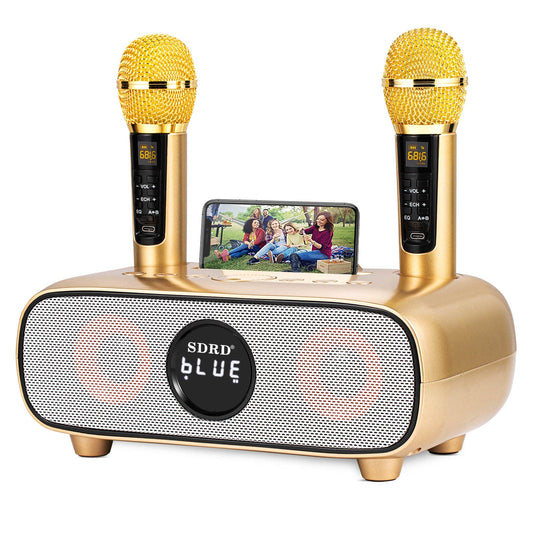 Karaoke Machine, Bluetooth karaoke system for adults and children, portable PA system with 2 microphones, speaker with phone holder/USB/TF-card/AUX-In, for home parties, picnics, outdoor/indoor (Gold)
