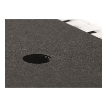 Pagna Desk Organizer Classic (Desk folder, 44 compartments, 1-31/1-12/Jan-Dec) black