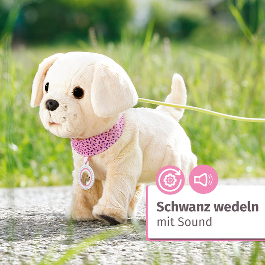 BABY born, dog, My Lucky Dog, BABY born dog with functions including collar, pendant, leash, bottle, and bone, 829417, Zapf Creation.