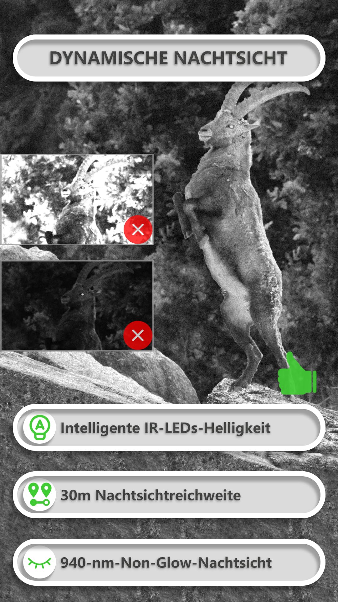 GardePro E8P wildlife camera with WiFi, rechargeable 8000mAh battery, 64MP 1296P resolution, motion sensor night vision, mobile transmission, WiFi, app.