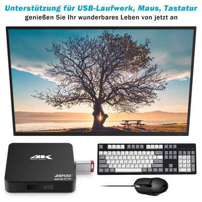 AGPTEK 4K@60hz MP4 Media Player supports 8TB HDD/256G USB Drive/SD Card with HDMI/AV Output for HDTV/PPT MKV AVI MP4 H.265. Features include ad insertion, subtitles/timing, and keyboard control.