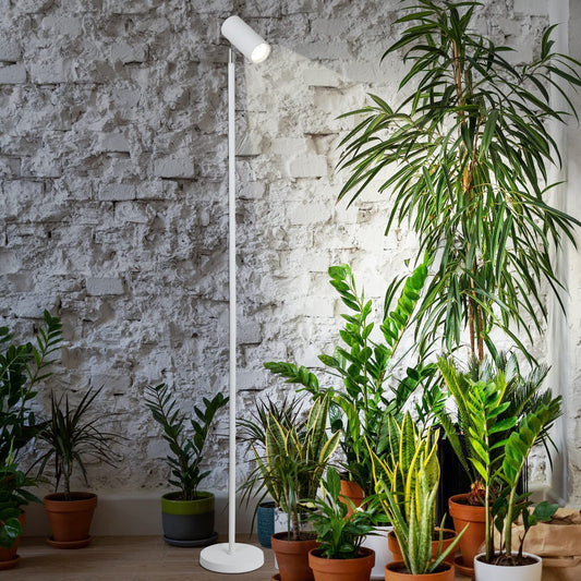 Rayofly LED Full Spectrum Plant Lamp, 20W White Grow Light for indoor plants, Adjustable height LED Grow Lamp with Timer 4/8/12H, Stand Grow Light for large plants or seeds.