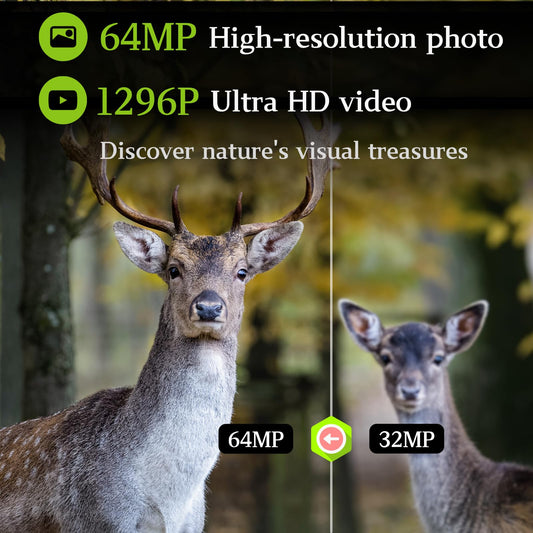 BlazeVideo 48MP wildlife camera with night vision, 1296P H.264 MPV video, motion detector, night vision, time-lapse, IP66 waterproof and 2.4" screen.