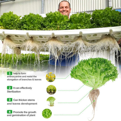 Roleadro LED plant lamp 2 pieces plant light with red blue light 45W grow light LED grow lamp for fruit growth flowers vegetables plant growth lamp