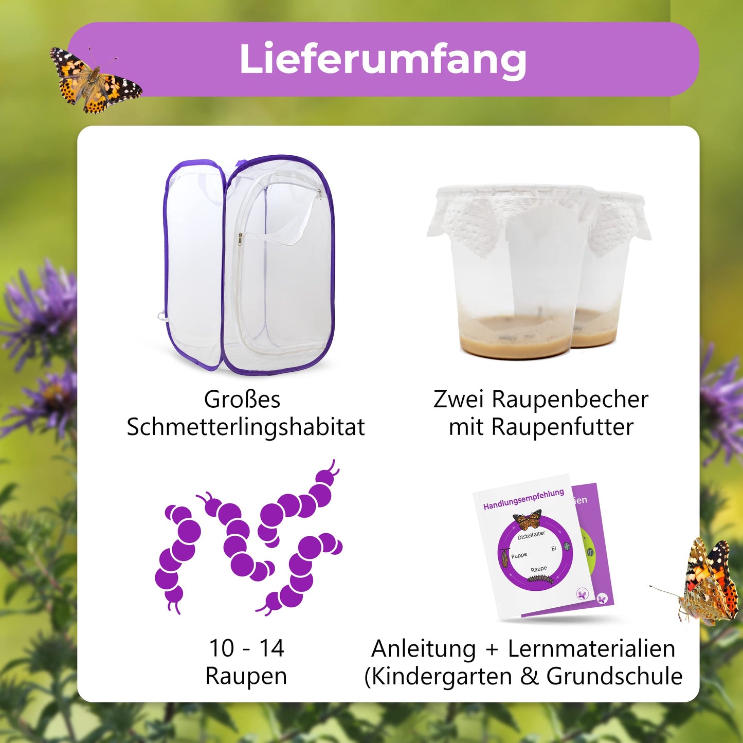 Butterfly breeding kit for kids | Approx. 14 caterpillars + large habitat (40x40x60 cm) | FREE E-Book + educational materials | Breed caterpillars at home from age 3 | Raise native Painted Lady butterflies